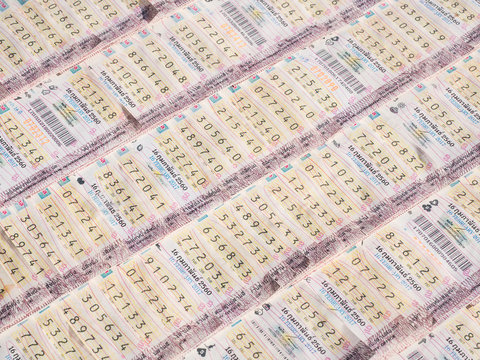 专业彩票服务