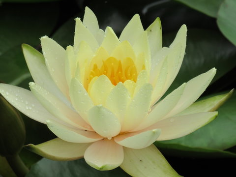 加拿大28API接口助力彩票行业发展